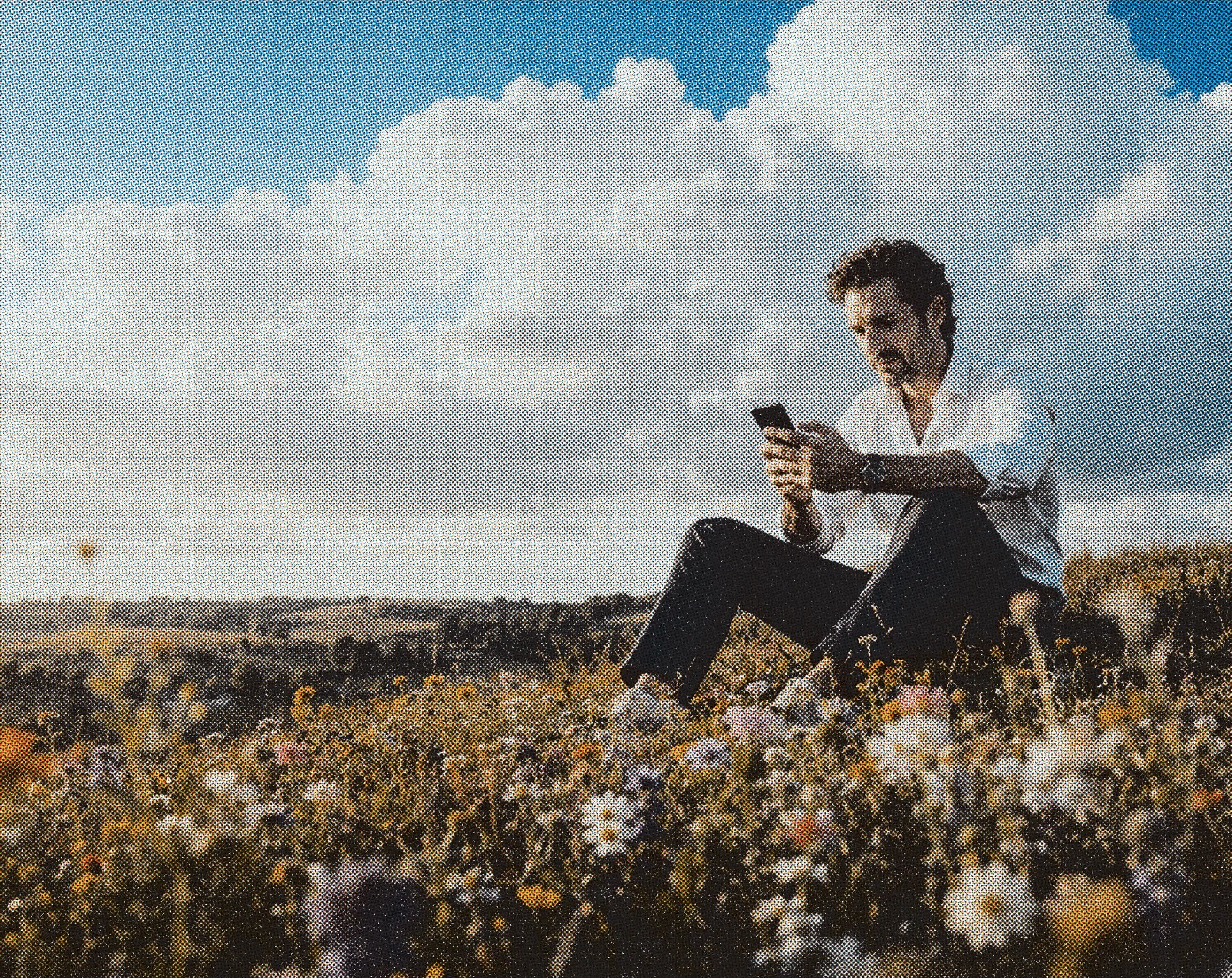 Man in a flower meadow looking at his phone